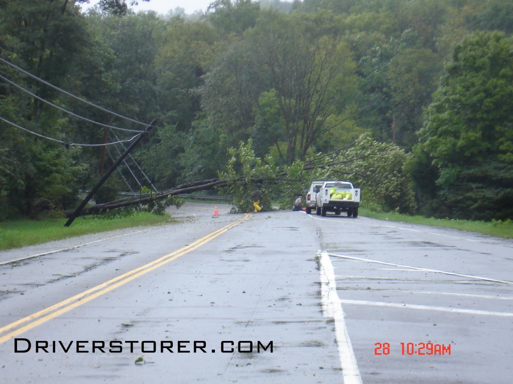 One of the fallen trees that caused the shut down of 209 North at the Delaware River National Recreation Area weigh in station