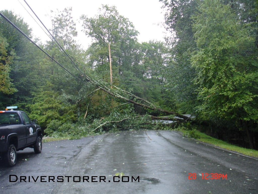 Tree over power lines on Lower Woodbridge Road in the Falls at Saw Creek Estates